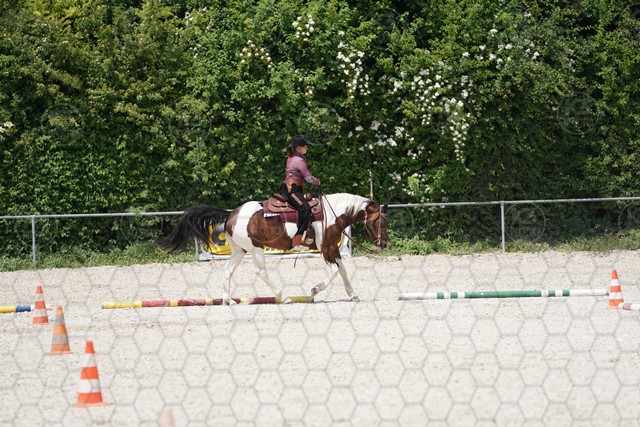 sA9K00918.JPG